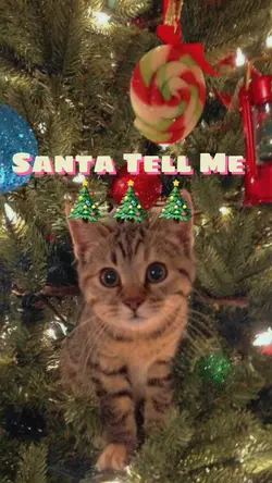 SANTA TELL ME 🎅🏻