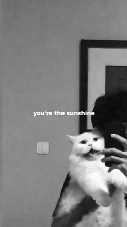 you're the sunshine 