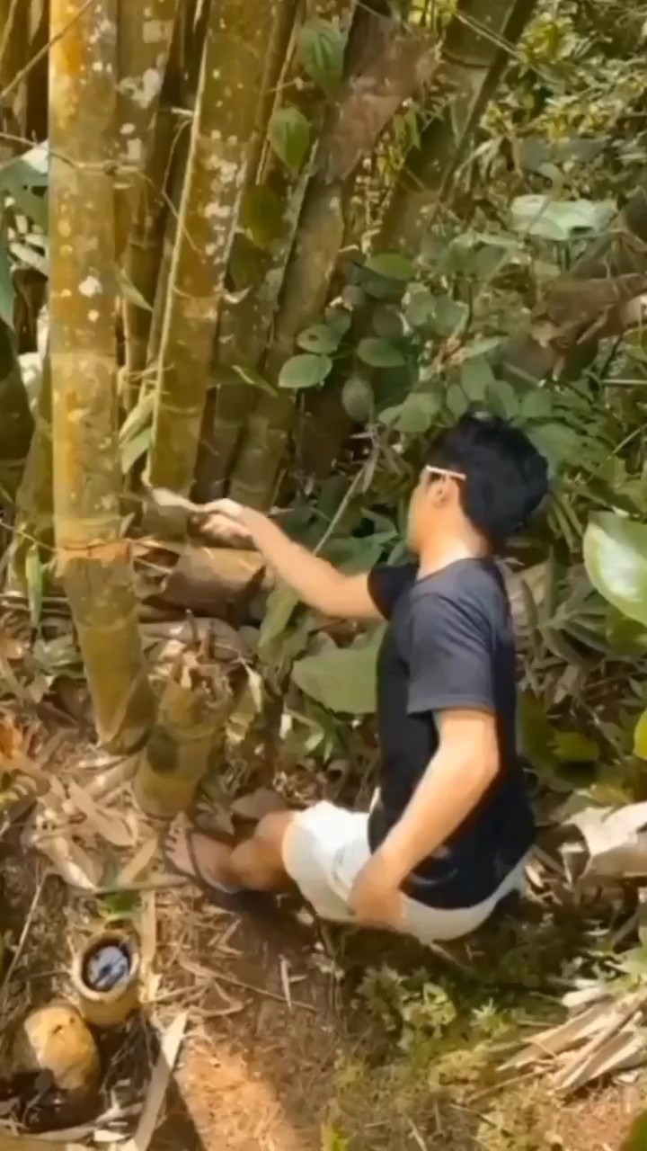 Bambú
