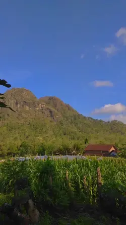 Filter Kamera iPhone