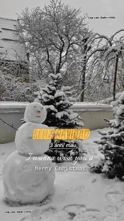 Feliz Navidad 