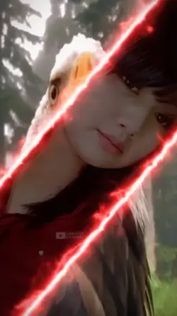 ini yang Kalian Cari