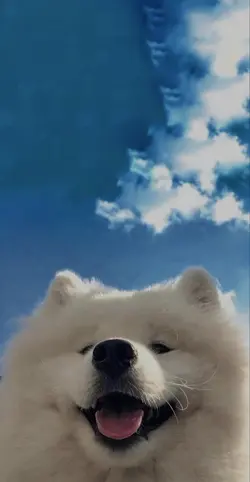 filterkece