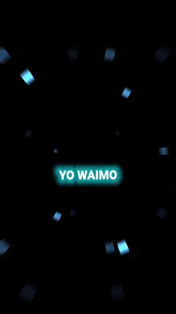 YO WAIMO
