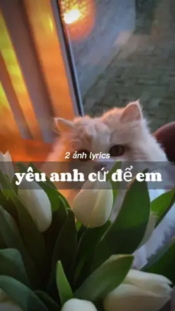 2 ảnh lyrics 