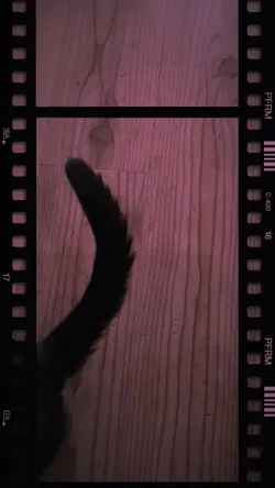 ストーリー向け紹介動画