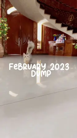 FEBRUARY 2023 DUMP