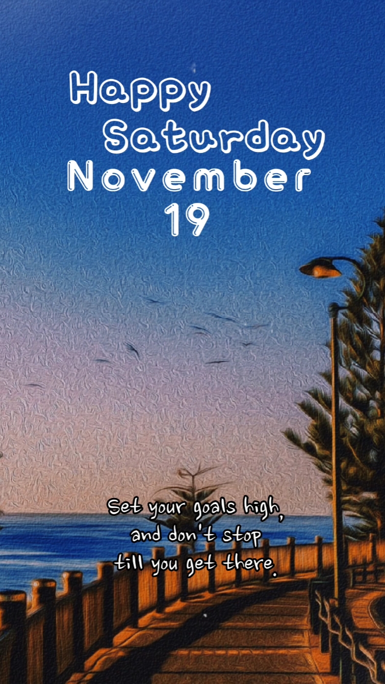 NOVEMBER 19