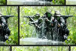 tni