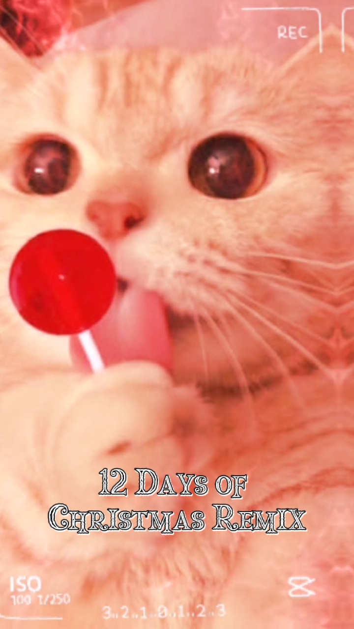 12DaysOfChristmas