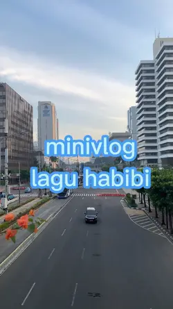 minivlog