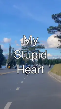 My Stupid Heart