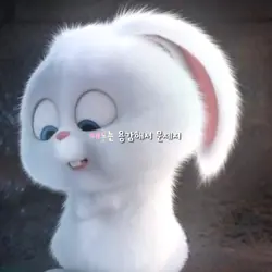 이 손바닥 만한 좁은 곳에서