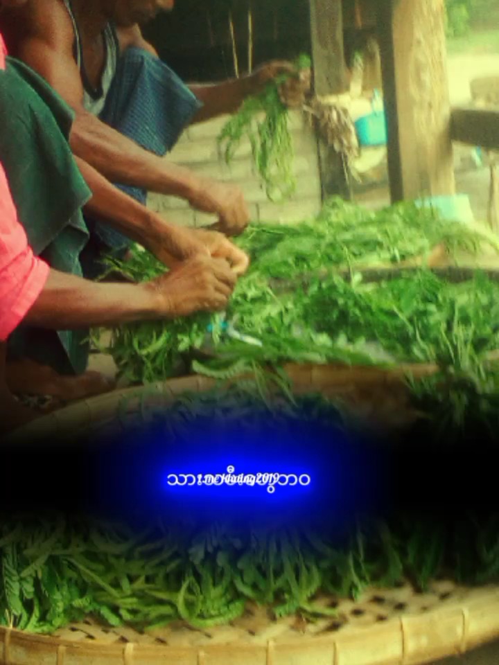 မိနဲ့ဖ