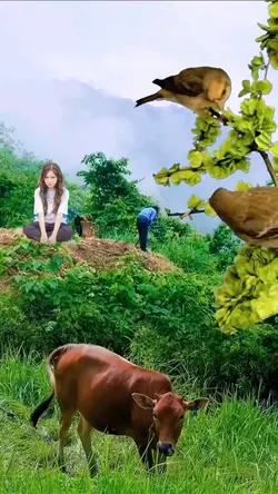 Mẫu phong cảnh