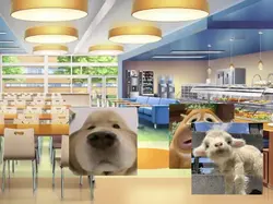 ถ้าเอาแต่ทานของหวานๆ