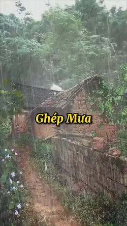 Ghép Cảnh Mưa
