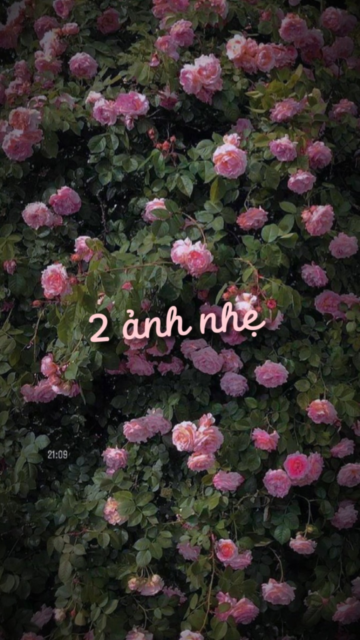 2 ảnh nhẹ TA 