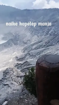hapelep manja 