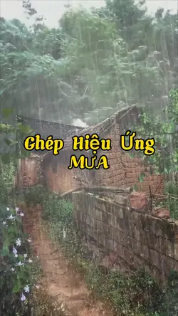 Ghép H.Ứng Mưa