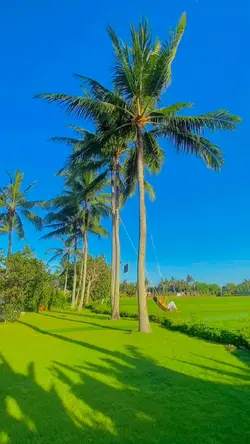 Welcome to paradisee