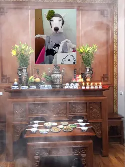 Mẫu Troll bạn bè