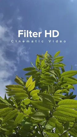 Cinematic Filter HD