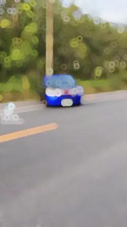 เทรนสนิม