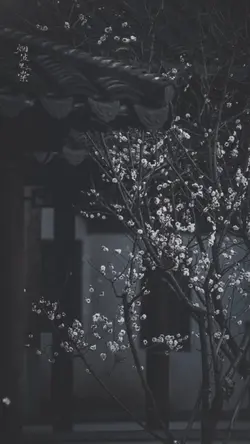 Lagu Jepang 90an