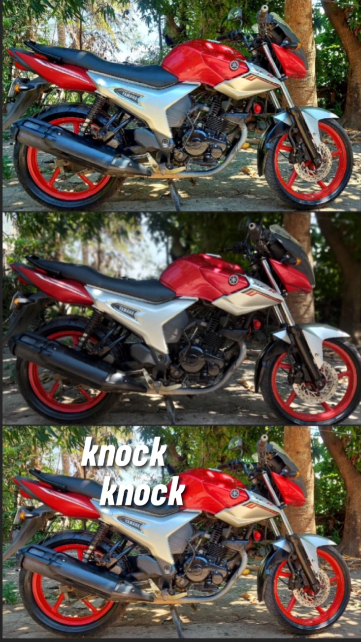 papatya kim