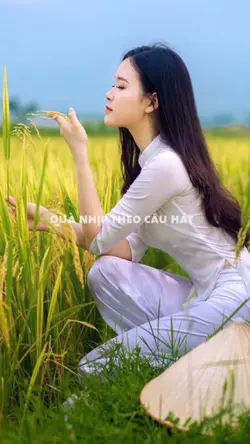 Mẫu beat+10 ảnh