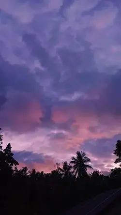 Obsessed with skies