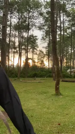 sound Naruto slowmo