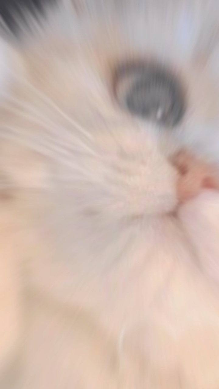 📸7..