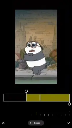 แพนด้าของแม่