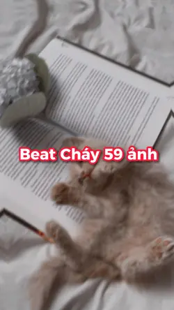 Beat cháy 59 ảnh