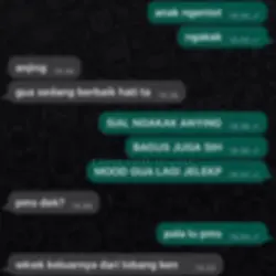 ss chat wa/ig