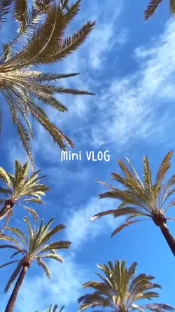 VLOG 13.11.22