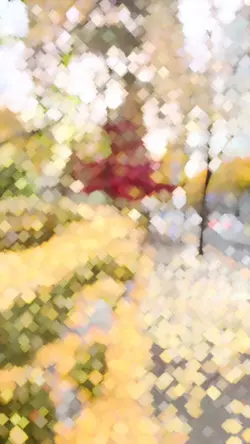 SLOWMO AESTETIC 