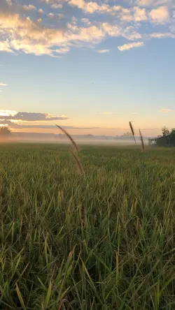 ธรรมชาติบ้านเฮา