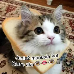 Jenis ii manusia kls