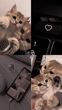 Filter Aesthetic