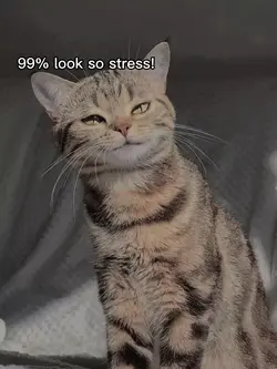 look so stress