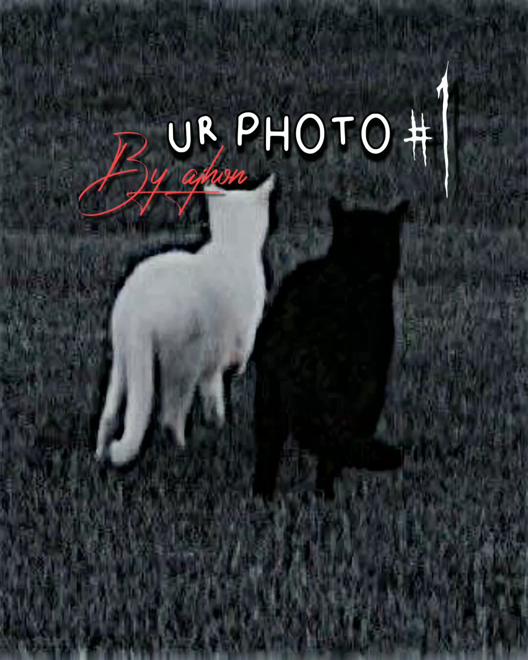 photo répétée 