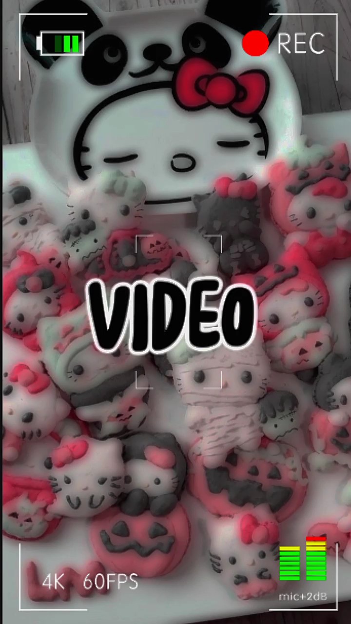 vidéo / photo