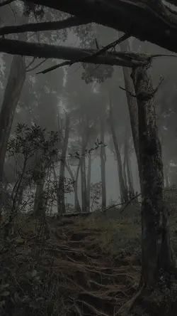 lirik lagu aesthetic