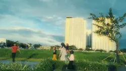 16.9 dream soft fltr