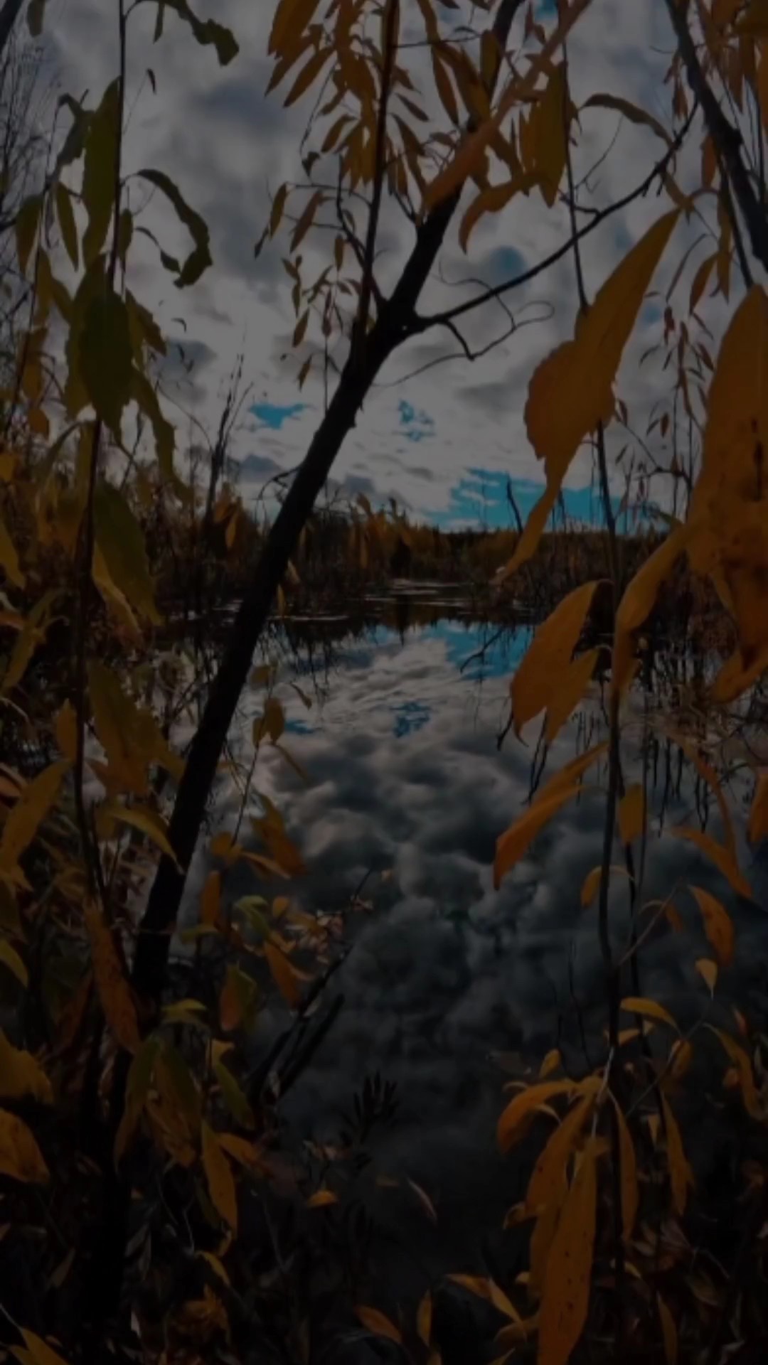 Video 30