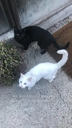 trend tiktok