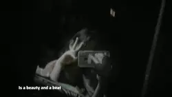 beauty and a beat